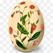 �ɹ���Ʒ���� �� �;���װ-������