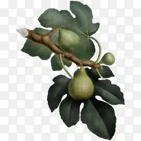 Ë®²Ê» ÑÕÁÏ ÊªÄ«-¿ÕÈôÍø Ë®²Ê» ÑÕÁÏ ÊªÄ«-¿ÕÈôÍø