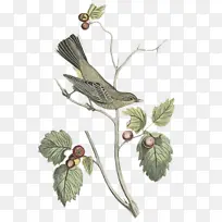 Ë®²Ê» ÓÍÆá ʪīˮ-¿ÕÈôÍø Ë®²Ê» ÓÍÆá ʪīˮ-¿ÕÈôÍø