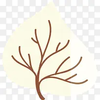 Ҷ�� ֲ�ﾥ ��֦-������