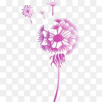 蒲公英 水彩画 素描-空若网 蒲公英 水彩画 素描-空若网