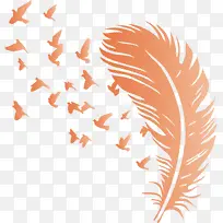 鸟羽毛 水彩画 素描-空若网 鸟羽毛 水彩画 素描-空若网