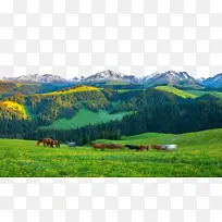 山景 草原 生物群落-空若网 山景 草原 生物群落-空若网