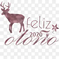 快乐秋天 鹿 白尾鹿-空若网 快乐秋天 鹿 白尾鹿-空若网