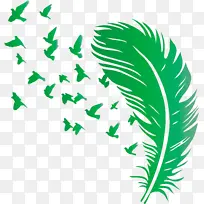 鸟羽毛 卡通 水彩画-空若网 鸟羽毛 卡通 水彩画-空若网