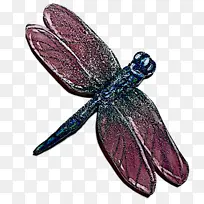 细胞膜 昆虫 蝴蝶-空若网 细胞膜 昆虫 蝴蝶-空若网