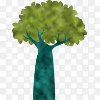 ������ ��ͨ�� ֲ�ﾥ-������