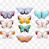 帝王蝶 蝴蝶 昆虫-空若网 帝王蝶 蝴蝶 昆虫-空若网