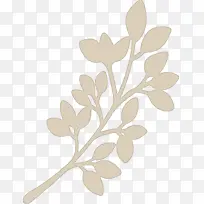 Ê÷Ö¦ Ö²Îï¾¥ Ò¶-¿ÕÈôÍø Ê÷Ö¦ Ö²Îï¾¥ Ò¶-¿ÕÈôÍø