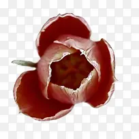 辣椒粉 卡通 蔬菜-空若网 辣椒粉 卡通 蔬菜-空若网