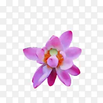 水彩画 颜料 湿墨-空若网 水彩画 颜料 湿墨-空若网