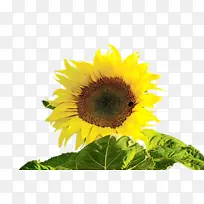 ˮ�ʻ� ���� ʪī-������