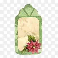 叶 生物学 植物结构-空若网 叶 生物学 植物结构-空若网