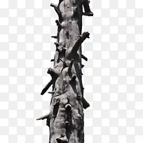 ���� ��-������