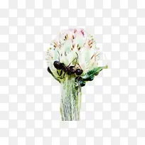 切花 昆虫 花-空若网 切花 昆虫 花-空若网