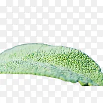 ²Ýƺ »¨Ô° ²Ý-¿ÕÈôÍø ²Ýƺ »¨Ô° ²Ý-¿ÕÈôÍø