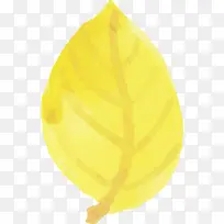 ˮ�ʻ����� ˮ�ʻ�����Ҷ�� ˮ�ʻ�Ҷ��-������