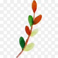 Ë®²Ê»ÇïÌì Ë®²Ê»ÇïÒ¶ Ë®²Ê»Ò¶×Ó-¿ÕÈôÍø Ë®²Ê»ÇïÌì Ë®²Ê»ÇïÒ¶ Ë®²Ê»Ò¶×Ó-¿ÕÈôÍø