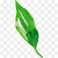 水彩画秋天 水彩画秋天叶子 水彩画叶子-空若网 水彩画秋天 水彩画秋天叶子 水彩画叶子-空若网