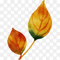 Ë®²Ê»ÇïÌì Ë®²Ê»ÇïÌìÒ¶×Ó Ë®²Ê»Ò¶×Ó-¿ÕÈôÍø Ë®²Ê»ÇïÌì Ë®²Ê»ÇïÌìÒ¶×Ó Ë®²Ê»Ò¶×Ó-¿ÕÈôÍø