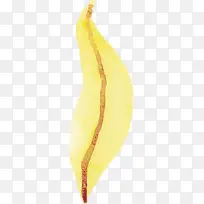 ˮ�ʻ����� ˮ�ʻ�����Ҷ�� ˮ�ʻ�Ҷ��-������