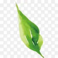 ˮ�ʻ����� ˮ�ʻ�����Ҷ�� ˮ�ʻ�Ҷ��-������