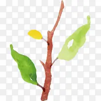 水彩画秋天 水彩画秋天叶子 水彩画叶子-空若网 水彩画秋天 水彩画秋天叶子 水彩画叶子-空若网