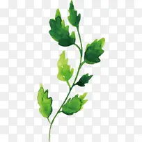 水彩画秋天 水彩画秋天叶子 水彩画叶子-空若网 水彩画秋天 水彩画秋天叶子 水彩画叶子-空若网