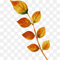 水彩画秋天 水彩画秋叶 水彩画叶子-空若网 水彩画秋天 水彩画秋叶 水彩画叶子-空若网
