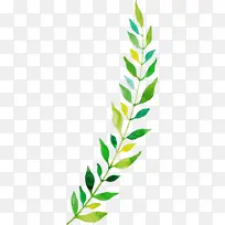 Ë®²Ê»ÇïÌì Ë®²Ê»ÇïÒ¶ Ë®²Ê»Ò¶×Ó-¿ÕÈôÍø Ë®²Ê»ÇïÌì Ë®²Ê»ÇïÒ¶ Ë®²Ê»Ò¶×Ó-¿ÕÈôÍø