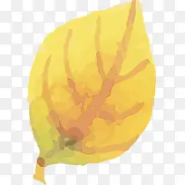 Ë®²Ê»ÇïÌì Ë®²Ê»ÇïÌìÒ¶×Ó Ë®²Ê»Ò¶×Ó-¿ÕÈôÍø Ë®²Ê»ÇïÌì Ë®²Ê»ÇïÌìÒ¶×Ó Ë®²Ê»Ò¶×Ó-¿ÕÈôÍø