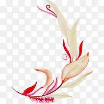 ˮ�ʻ����� ˮ�ʻ���Ҷ ˮ�ʻ�Ҷ��-������