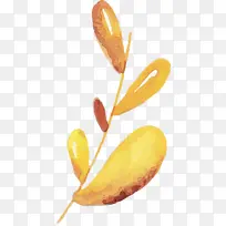 Ë®²Ê»ÇïÌì Ë®²Ê»ÇïÌìÒ¶×Ó Ë®²Ê»Ò¶×Ó-¿ÕÈôÍø Ë®²Ê»ÇïÌì Ë®²Ê»ÇïÌìÒ¶×Ó Ë®²Ê»Ò¶×Ó-¿ÕÈôÍø