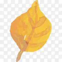 ˮ�ʻ����� ˮ�ʻ�����Ҷ�� ˮ�ʻ�Ҷ��-������