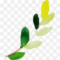 ˮ�ʻ����� ˮ�ʻ�����Ҷ�� ˮ�ʻ�Ҷ��-������