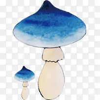 ˮ��Ģ��-������