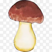 ˮ��Ģ�� ����-������