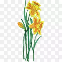 花卉茎百合-花卉涂料-空若网 花卉茎百合-花卉涂料-空若网