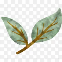 Ҷ ����ѧ ֲ��-������