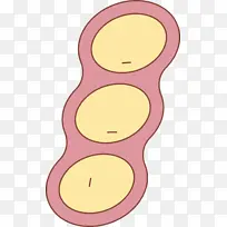 秋收 浮游生物 米-空若网 秋收 浮游生物 米-空若网