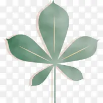 ���� ˮ�ʻ� ����-������