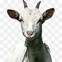 ɽ�� ���� ����-������