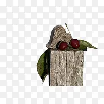 水果-空若网 水果-空若网