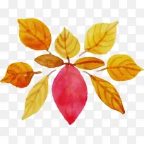 水彩画秋天 水彩画秋天叶子 水彩画叶子-空若网 水彩画秋天 水彩画秋天叶子 水彩画叶子-空若网