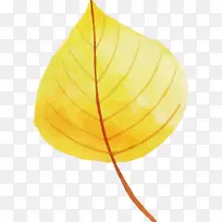 ��Ҷ ��Ҷ ��Ҷ-������