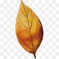 秋叶 彩叶 叶-空若网 秋叶 彩叶 叶-空若网