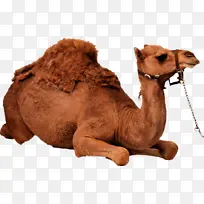 电池 手机电池 锂离子-空若网 电池 手机电池 锂离子-空若网