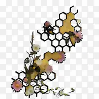 蝴蝶 昆虫 叶子-空若网 蝴蝶 昆虫 叶子-空若网