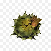 叶 树 生物学-空若网 叶 树 生物学-空若网