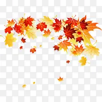 叶子 树枝 枫叶-空若网 叶子 树枝 枫叶-空若网